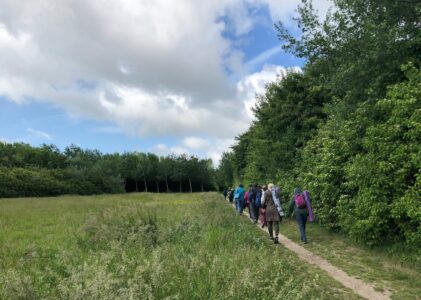 Temier’s Pathways Meetings