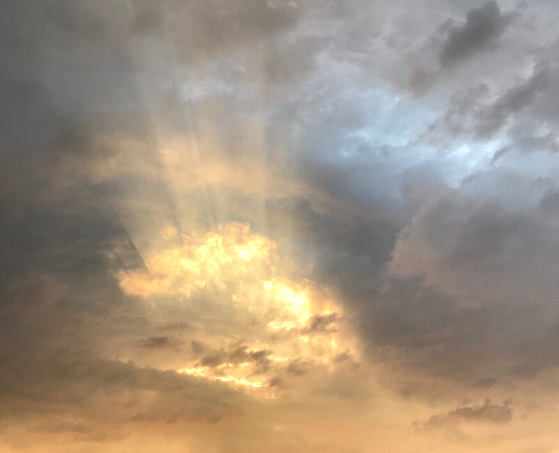 Illuminating Your Path